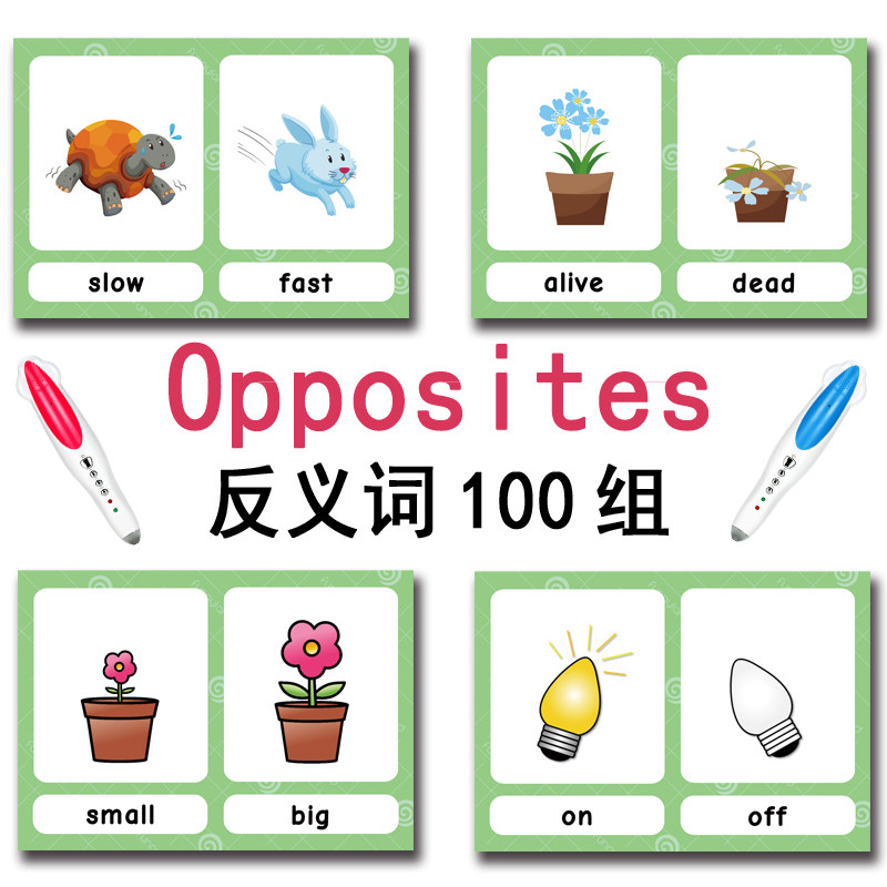 แฟลชการ์ดคำศัพท์ภาษาอังกฤษ 100 - Kids Education Age บทวิจารณ์และราคา