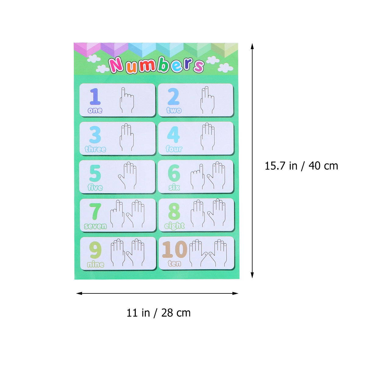 โปสเตอร์การเรียนรู้สัตว์ 6 ชิ้ - Educational Cartoon For Kids บทวิจารณ์และราคา