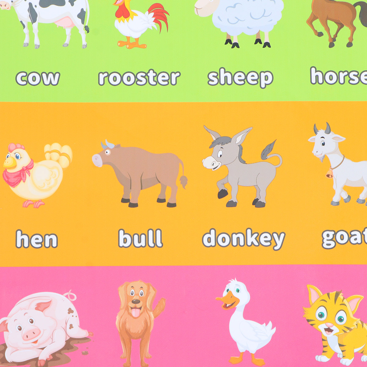 โปสเตอร์การเรียนรู้สัตว์ 6 ชิ้ - Educational Cartoon For Kids บทวิจารณ์และราคา